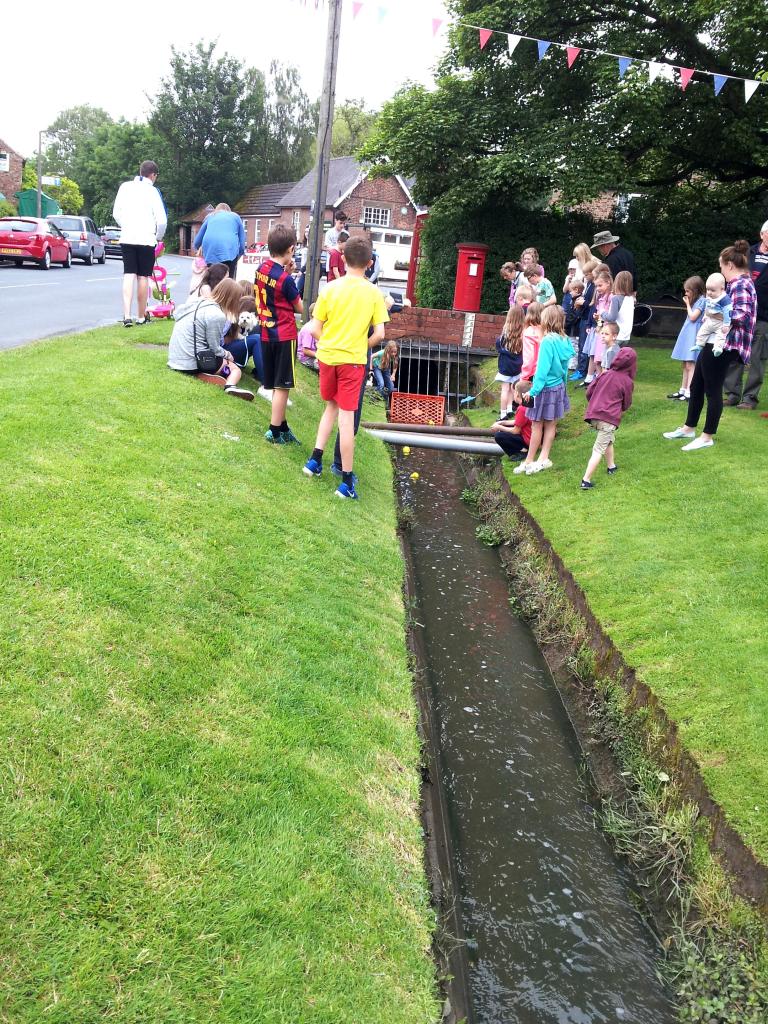 Duck racing