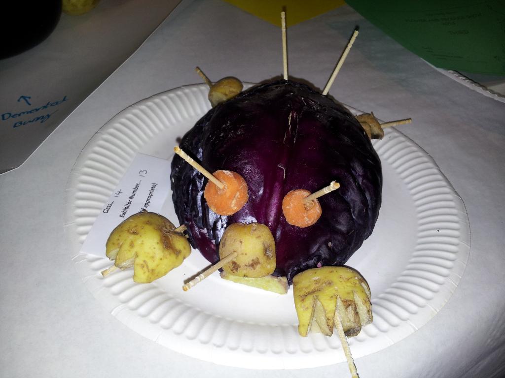 Vegetable turtle